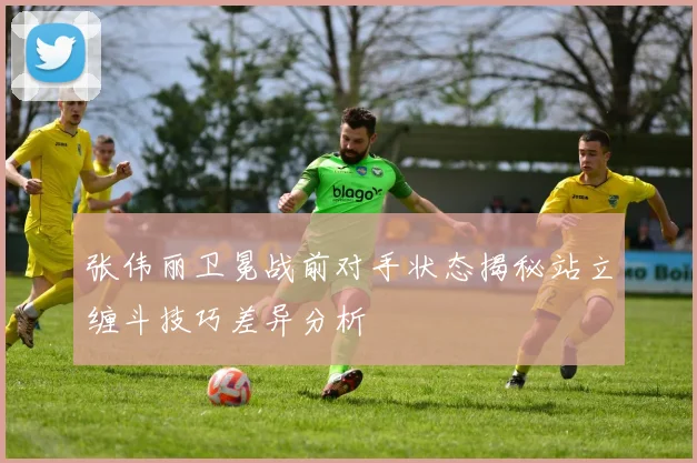 张伟丽卫冕战前对手状态揭秘站立缠斗技巧差异分析